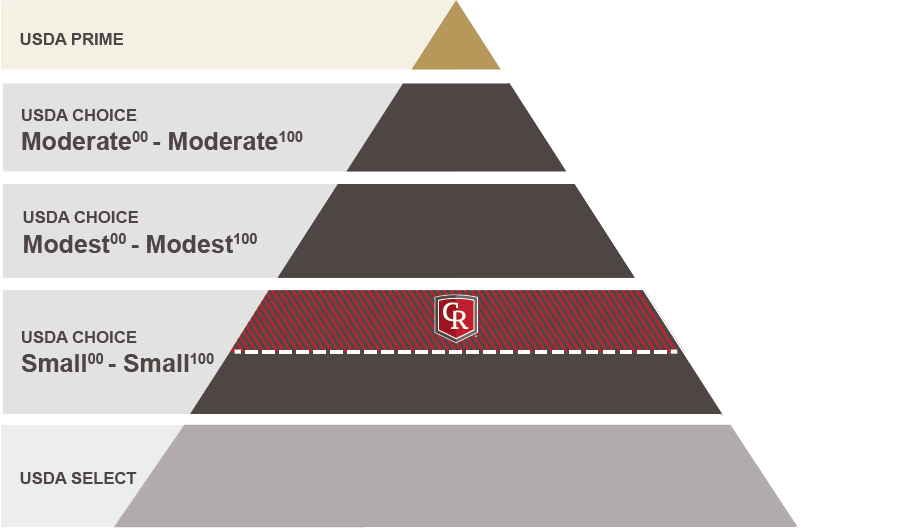 Premium Angus Beef Pyramid