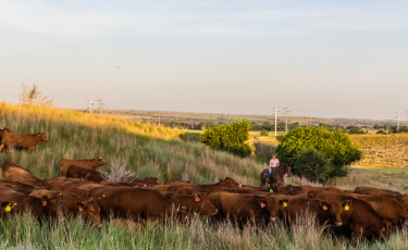 Does Your Meat Case Meet the Needs of Today’s Environmentally Conscious Consumer?